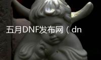 五月DNF发布网（dnf5月6号）