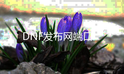 DNF发布网端口