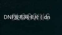 DNF发布网卡片（dnf里面的卡片有什么用）