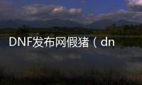 DNF发布网假猪（dnf假猪套怎么做）