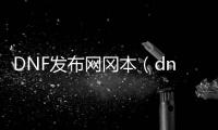 DNF发布网冈本（dnf冈本辅助破解版）