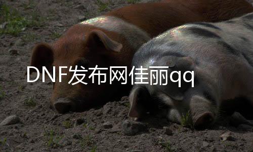 DNF发布网佳丽qq