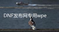 DNF发布网专用wpe