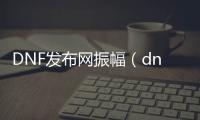 DNF发布网振幅（dnf振幅16多少钱）