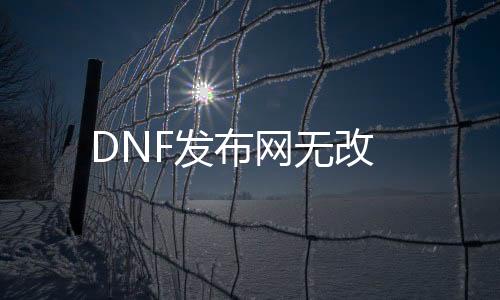 DNF发布网无改