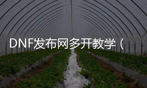 DNF发布网多开教学（dnf多开用什么软件）