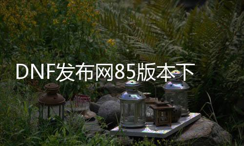 DNF发布网85版本下载