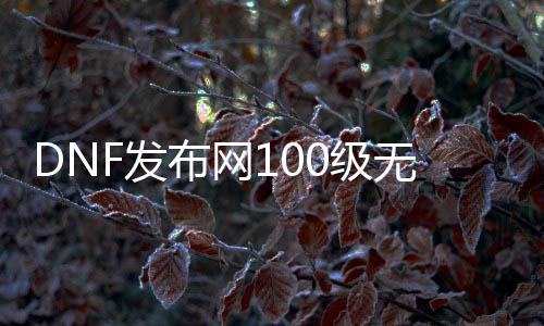 DNF发布网100级无cd私服（DNF发布网100版本无限cd流派）