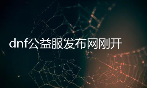 dnf公益服发布网刚开（dnf公益服发布网违法吗）