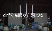 dnf公益服发布网宠物装备（dnf21年宠物装备怎么买）