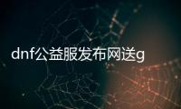 dnf公益服发布网送gm工具（dnf公益服发布网哪个值得一玩）