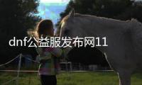 dnf公益服发布网110版本新开（全新开放的DNF公益服发布网110版本）