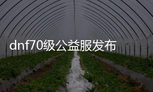 dnf70级公益服发布网手游排行榜（最新推荐的dnf70级公益服发布网手游）