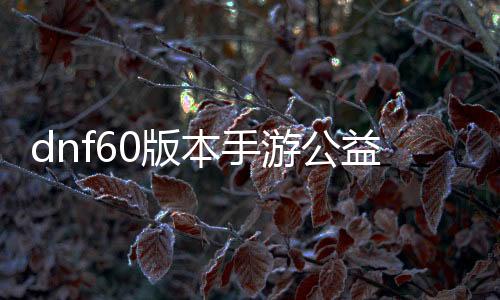 dnf60版本手游公益服发布网（全新版本手游公益服发布网开启）