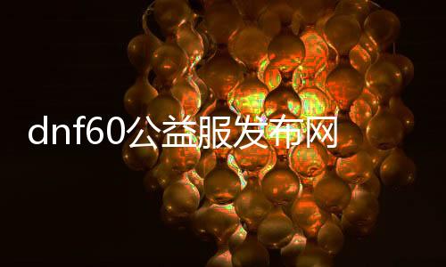 dnf60公益服发布网辅助（dnf86版公益服发布网）