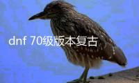 dnf 70级版本复古公益服发布网（地下城70公益服发布网）