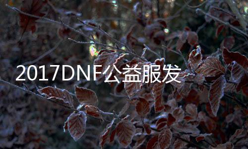 2017DNF公益服发布网吧下载攻略,2017DNF公益服发布网吧开服时间