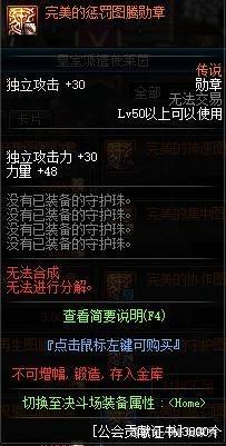 DNF发布网是布网干什么的